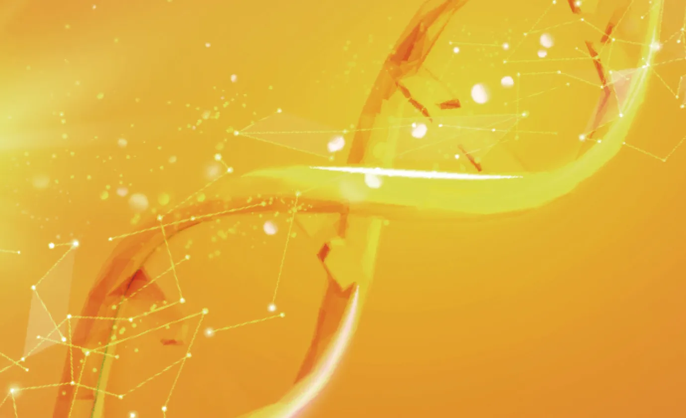 サーチュイン遺伝子