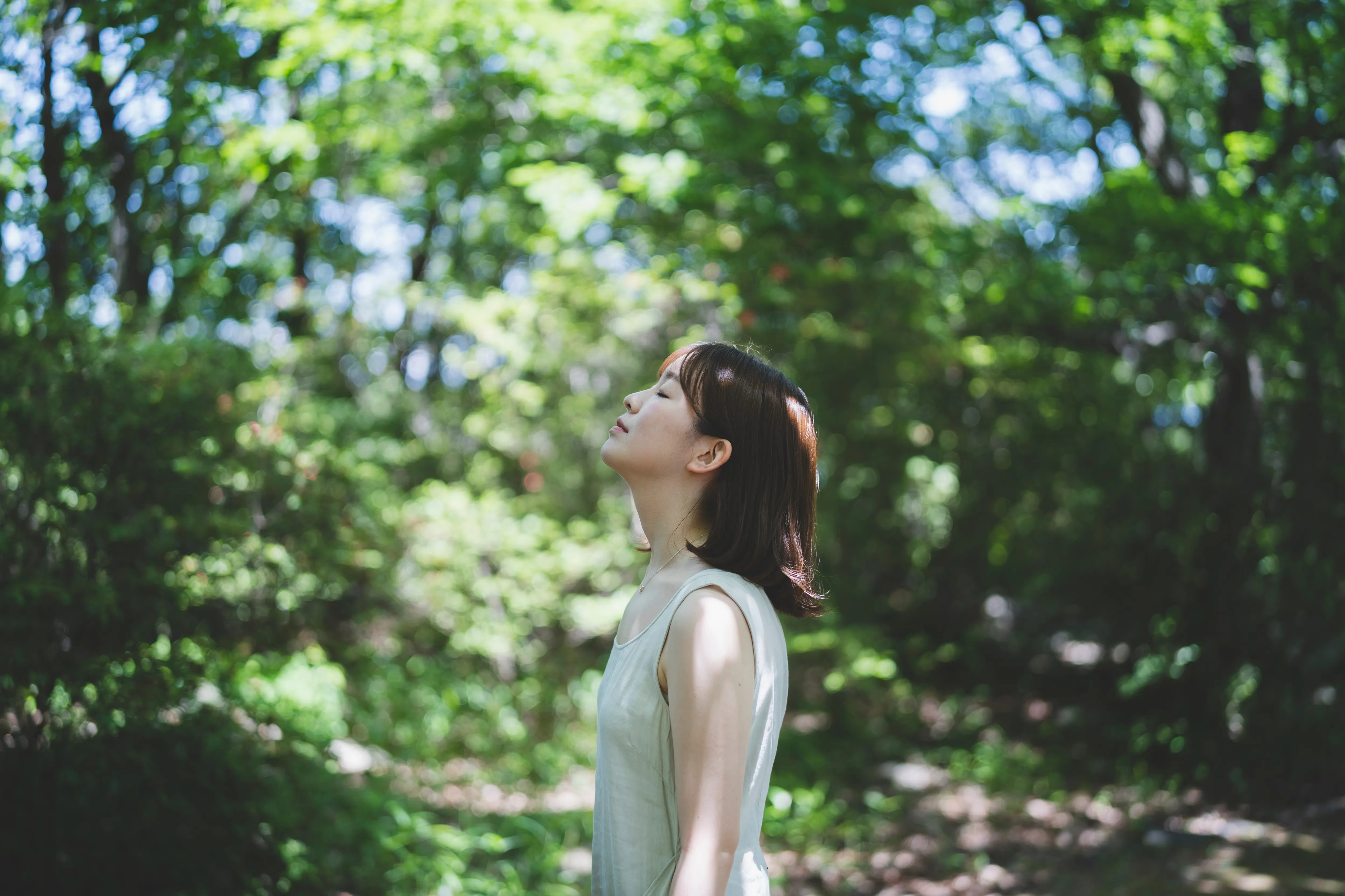 財団概要のイメージ画像